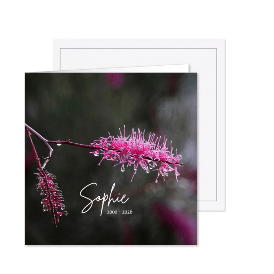 Rouwkaart takken met regendruppels - Kaartimpressie