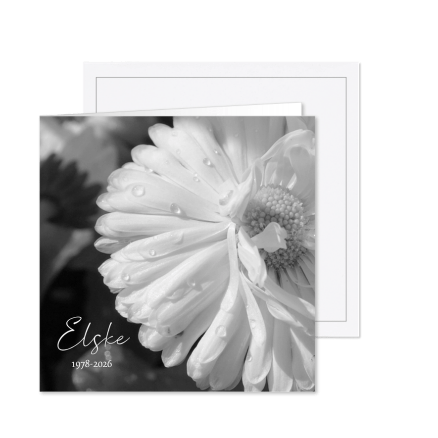 Rouwkaart - Witte bloem dauwdruppels - Kaartimpressie