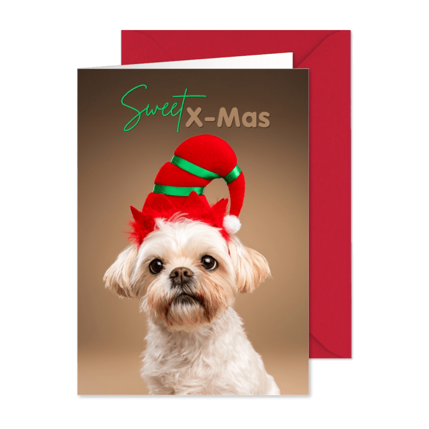 Schattige kerstkaart van boomer hondje met kerstmuts op - Kaartimpressie