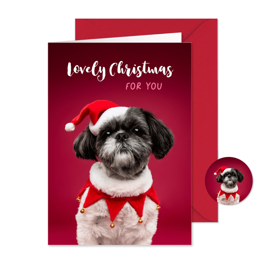 Schattige kerstkaart van boomer hondje met kerstmuts - Kaartimpressie