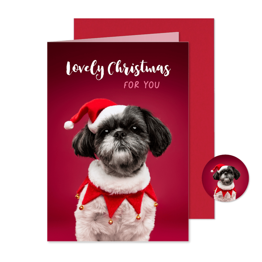Schattige kerstkaart van boomer hondje met kerstmuts - Kaartimpressie