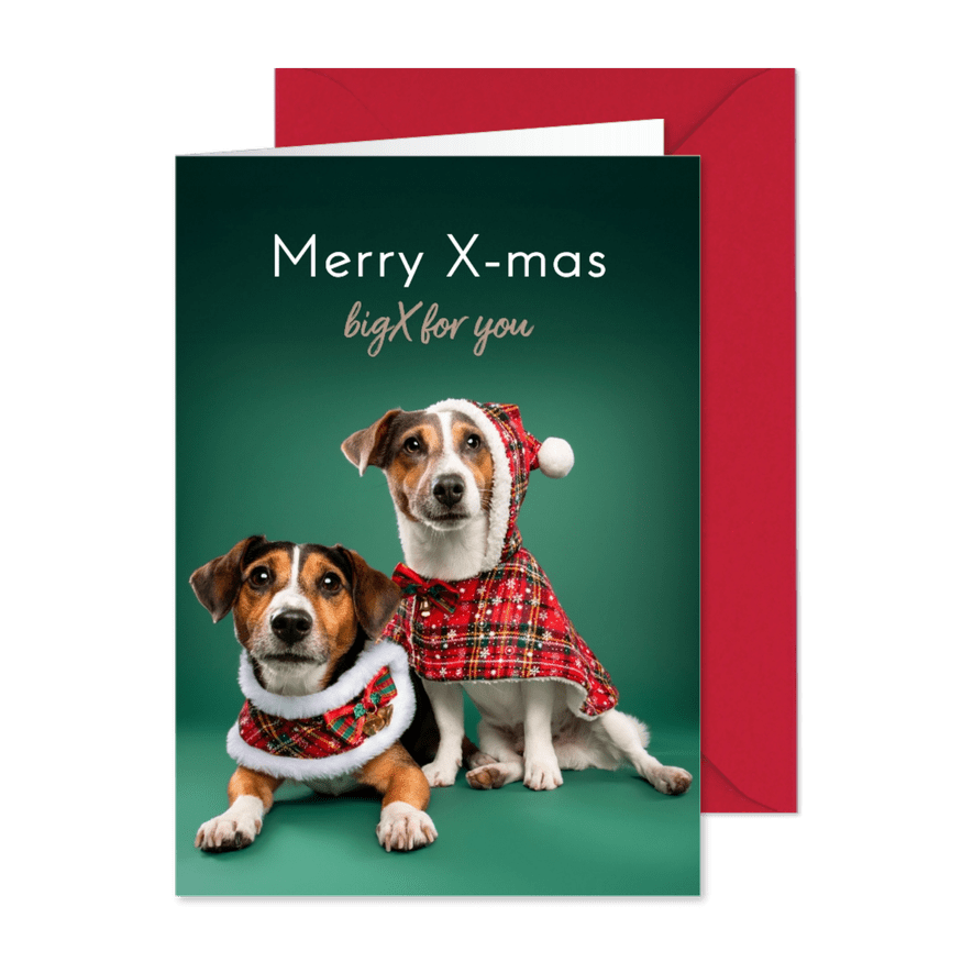 Schattige kerstkaart van hondjes met kerstkleding - Kaartimpressie