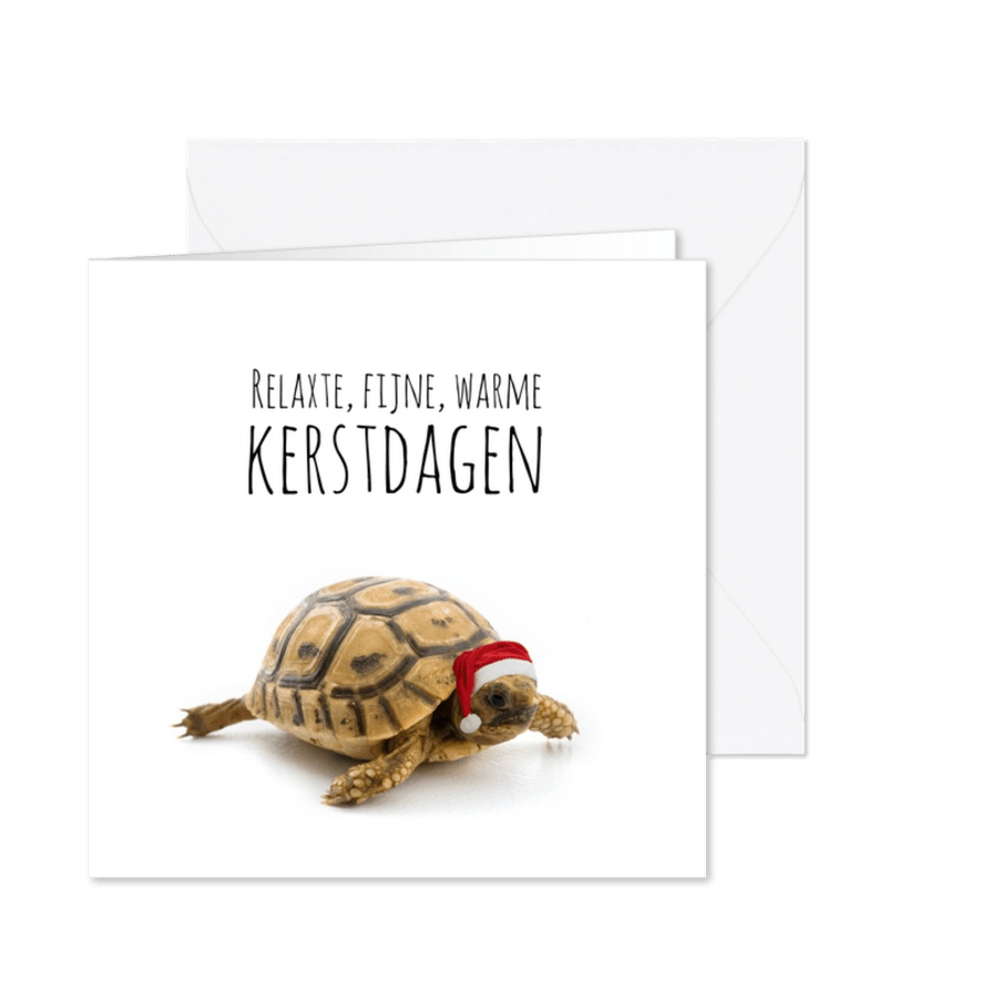 Schildpad met kerstmuts-isf - Kaartimpressie