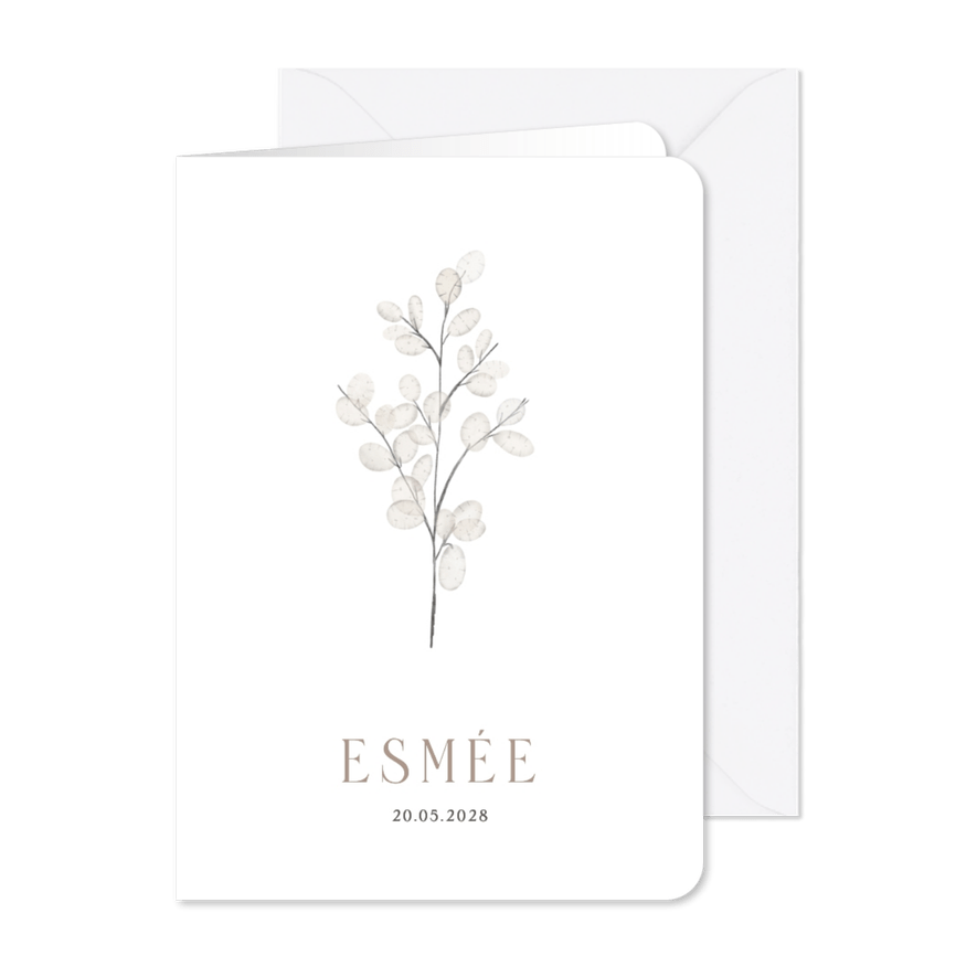 Stijlvolle minimalistische rouwkaart met judaspenning takje - Kaartimpressie