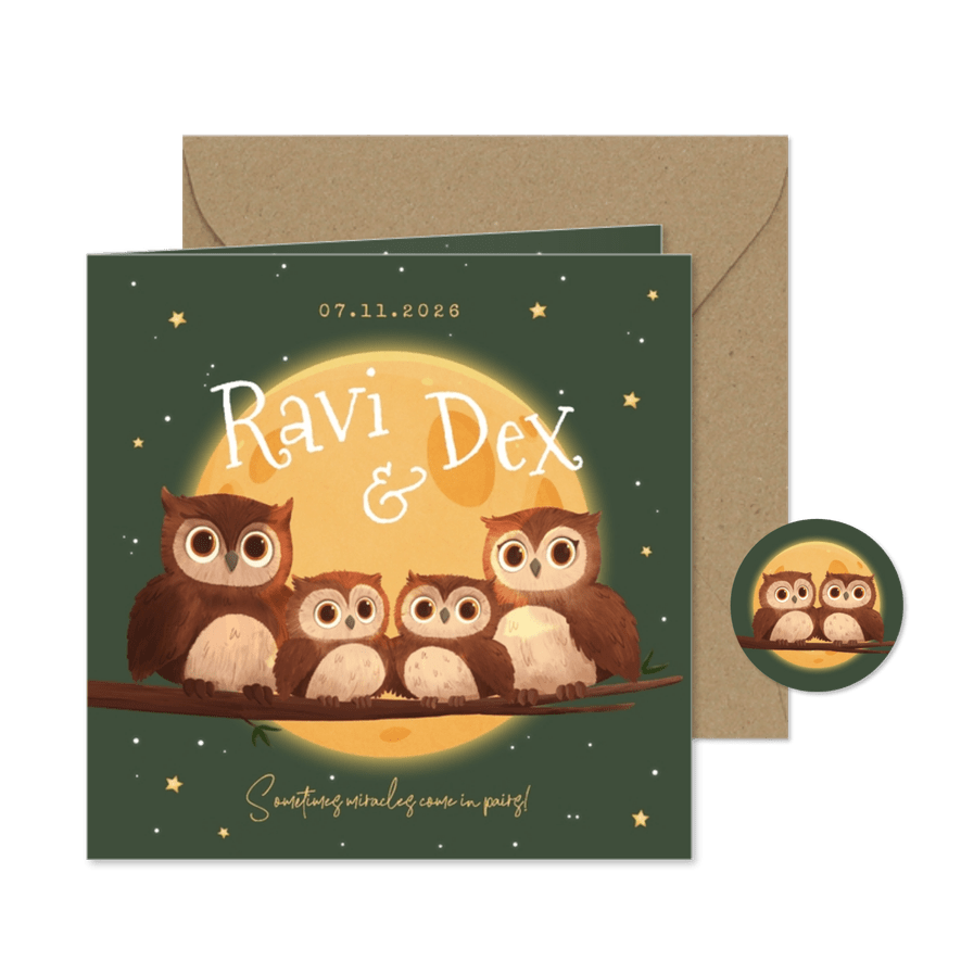 Tweeling geboortekaartje uiltjes maan nacht sterren - Kaartimpressie