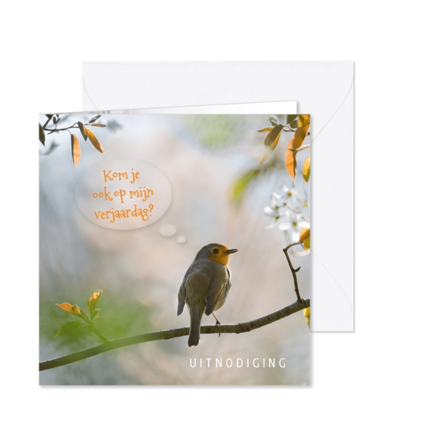 Uitnodiging verjaardag met roodborst - Kaartimpressie