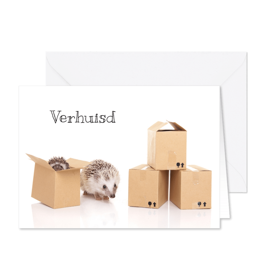 Verhuiskaart | Egeltjes in verhuisdoosjes - Kaartimpressie