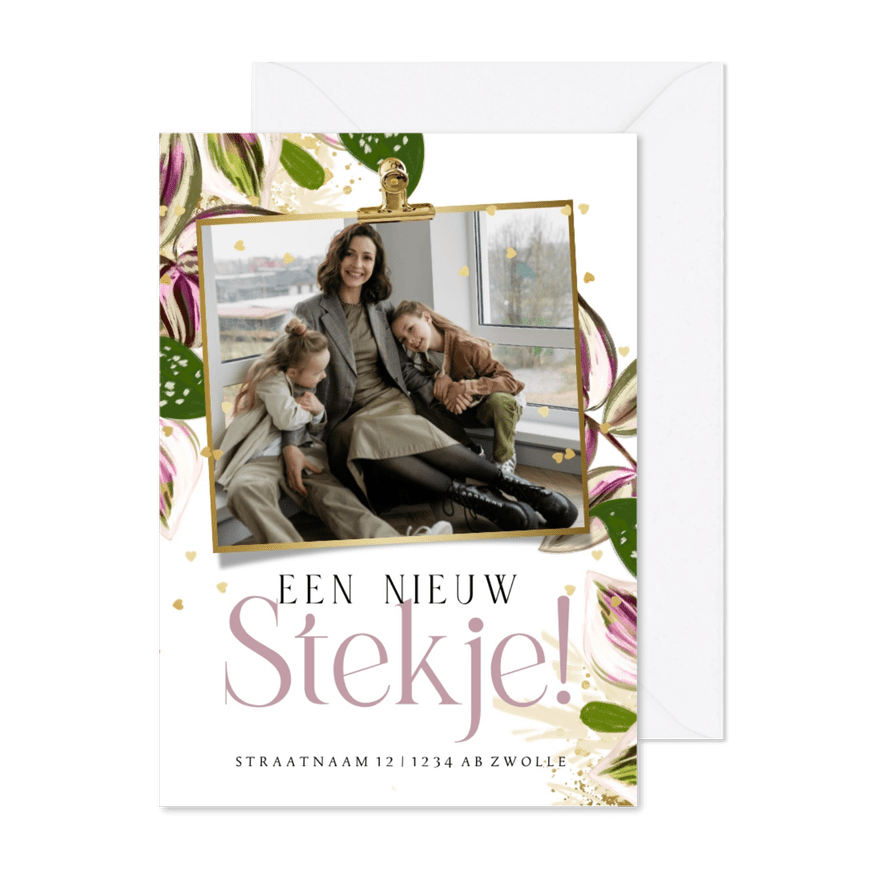 Verhuiskaart 'Nieuw Stekje' bladertakken foto hartjes goud - Kaartimpressie