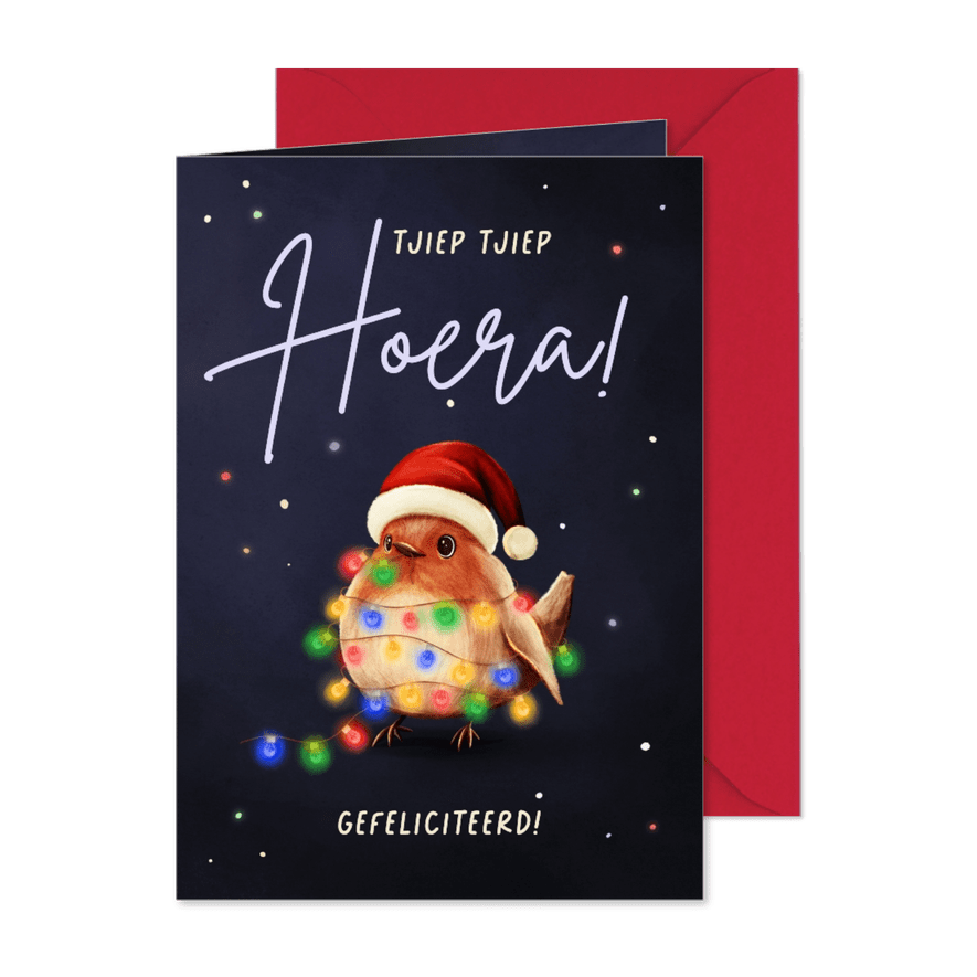 Vrolijke kerst verjaardagskaart roodborstje met lampjes - Kaartimpressie