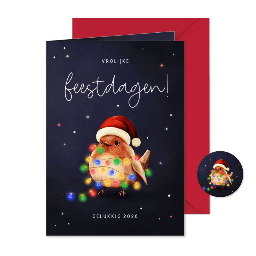 Vrolijke kerstkaart roodborstje met gekleurde lampjes  - Kaartimpressie