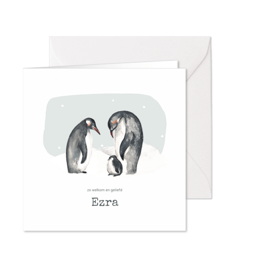 Winter geboortekaartje pinguins blauw met sneeuwvlokken - Kaartimpressie