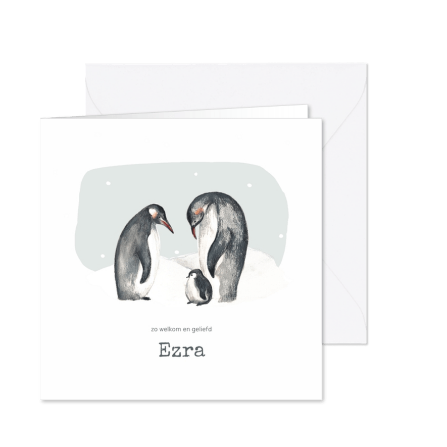Winter geboortekaartje pinguins blauw met sneeuwvlokken - Kaartimpressie
