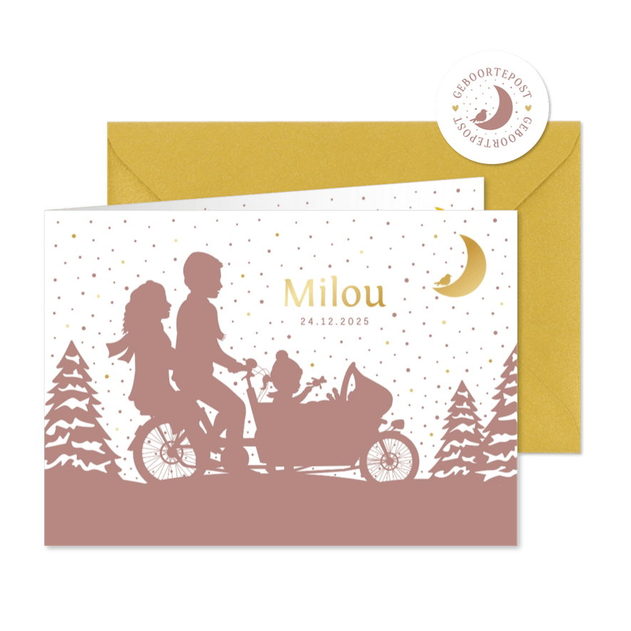 Winters geboortekaartje meisje met 2 zusjes in een bakfiets - Kaartimpressie