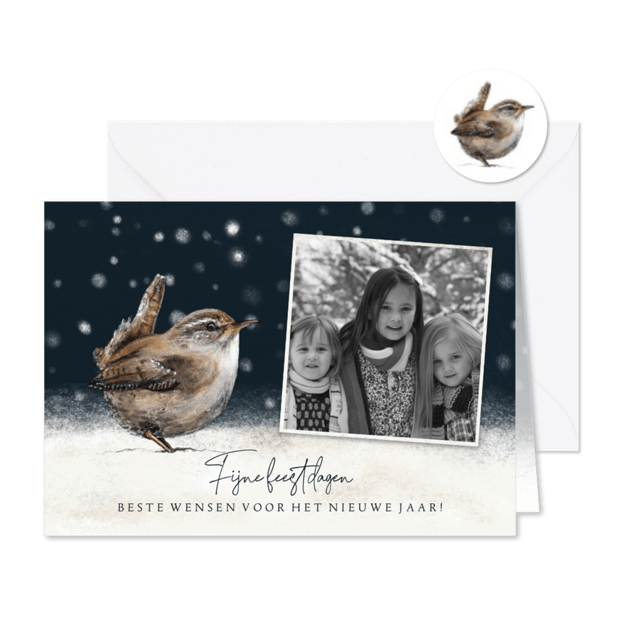 Winterse kerstkaart tekening winterkoninkje en foto - Kaartimpressie