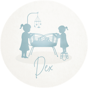 Doopsuiker sticker jongen met 2 zussen, voor het bedanken van de kraamvisite. 