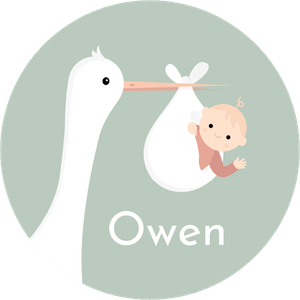 Vrolijke naamsticker doopsuiker met een ooievaar en baby voor jongen of meisje