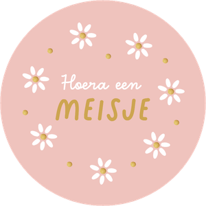 Hoera een meisje! Een hippe en lieve cadeausticker, speciaal voor de geboorte van een meisje.