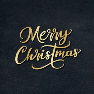 Sierlijke zwarte sluitzegel met goudlook tekst Merry Christmas