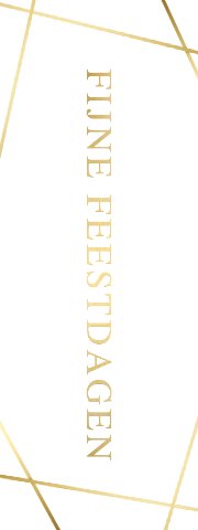 Stijlvol wit label fijne feestdagen met gouden geometrische lijnen