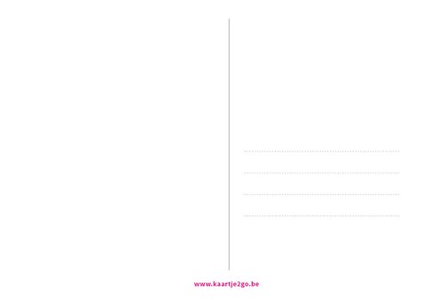 Originele en grappige V.I.P. ticket uitnodiging bruiloft Achterkant