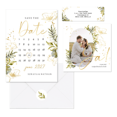 Set lijnillustratie met klaproos botanisch 