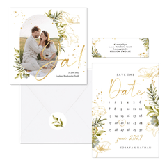 Set lijnillustratie met klaproos botanisch 