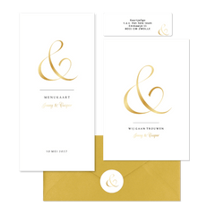 Ampersand trouwset goud