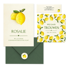 Trouwset zomer met citroen illustraties
