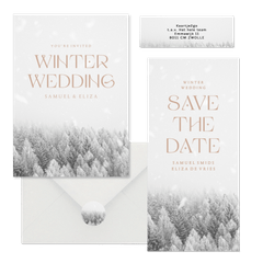 Winter wedding trouwset met besneeuwd bos