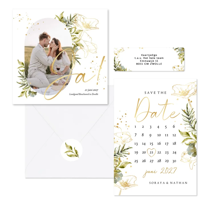 Set lijnillustratie met klaproos botanisch