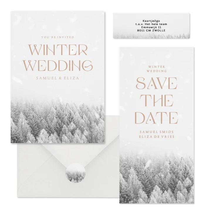 Winter wedding trouwset met besneeuwd bos