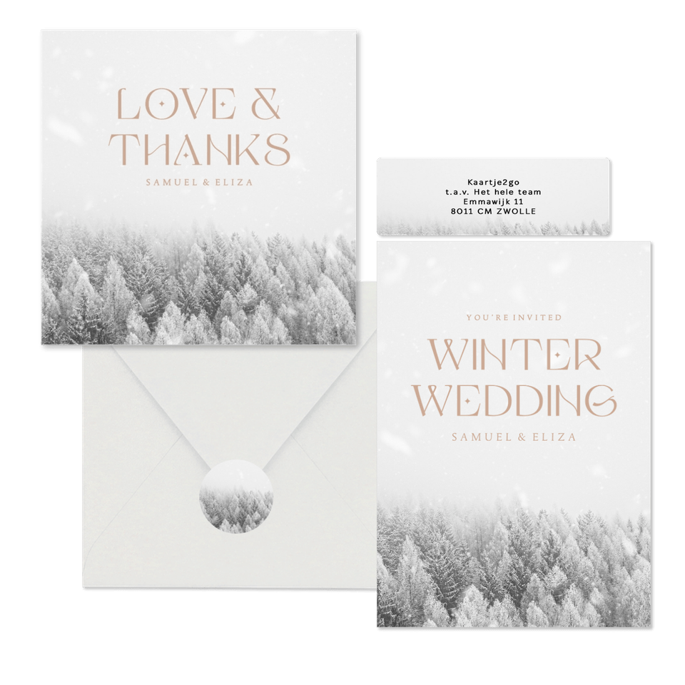 Winter wedding trouwset met besneeuwd bos