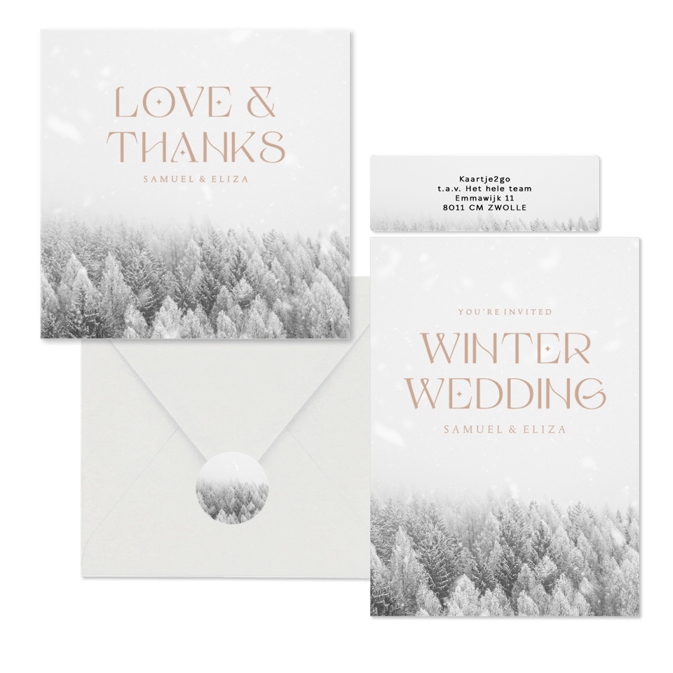 Winter wedding trouwset met besneeuwd bos