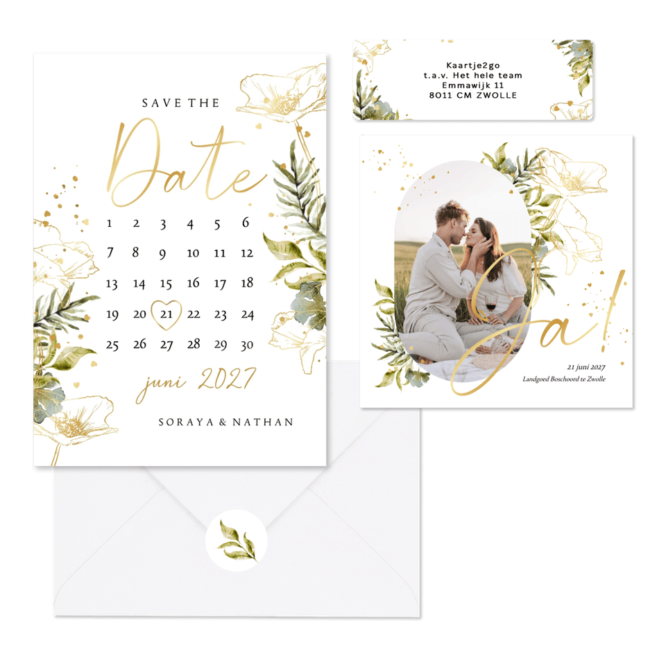 Set lijnillustratie met klaproos botanisch