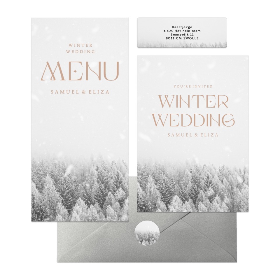 Winter wedding trouwset met besneeuwd bos