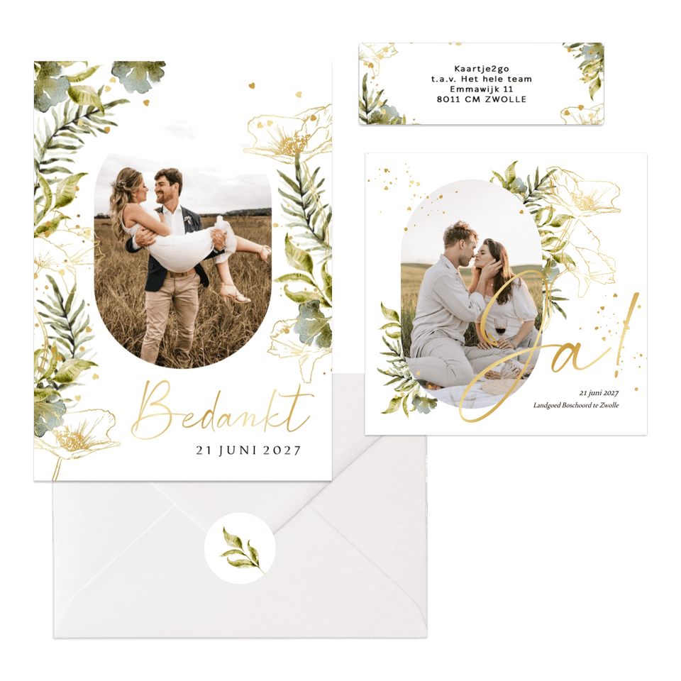 Set lijnillustratie met klaproos botanisch 