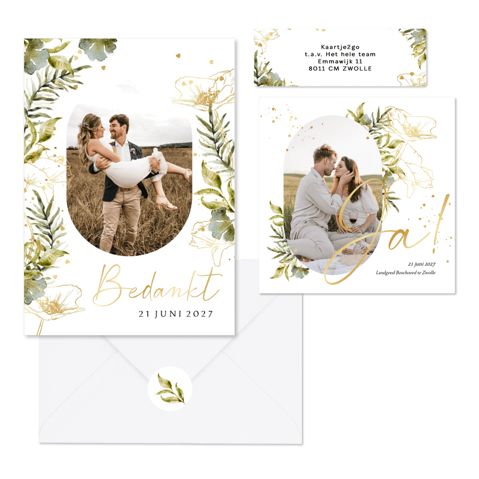 Set lijnillustratie met klaproos botanisch