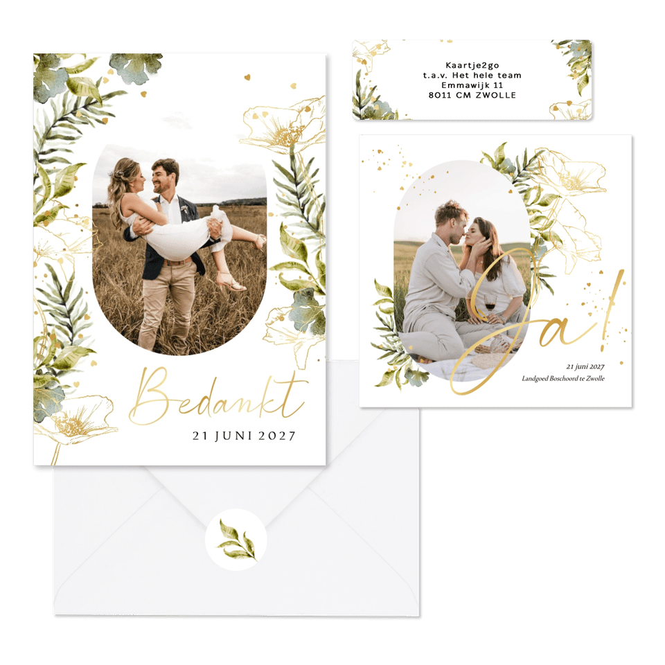 Set lijnillustratie met klaproos botanisch